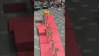 柔佛州南仙龙狮体育会