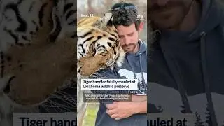 Tiger handler fatally mauled at Oklahoma wildlife preserve