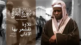 Imam Faisal Beautiful Quran recitation NEW RARE*** 🤍 | Surah Al Baqarah - 243