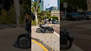 #miami #harleydavidson @harleydavidson#bikelife #motorbike #motorcycle #free #usa #biker #1m