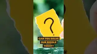 Crack the Daily Riddle Challenge