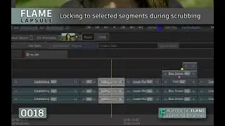 Flame Capsule 018 - Locking to selected segments during scrubbing - Flame 2021.1