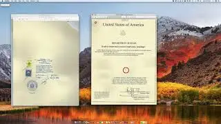 How to legalize a document at the Egyptian Consulate/Embassy