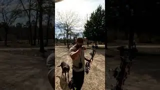 Стэн Оннекс и Стэн Кликер &mdash; один за другим.