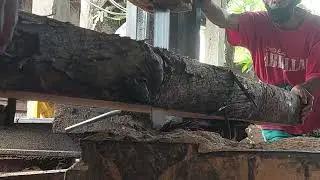 Sawing wood ex red vein 