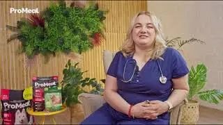 Советы ProMeal № 1 &mdash; ветеринар Мария Шилина про питание и уход за домашними питомцами