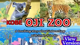 【Kobe OJI ZOO】《View Version》Popular zoo in Kansai. Lovely cute animals.  - funny videos osaka travel