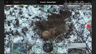 Drone company rescues family's missing dog