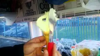 Raffaeles Ices, a little school of the way to scoop gelato for you!