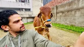 Aaj Mere Laaat Maari Isne 😒 | MADHAV SHHARMA VLOGS 