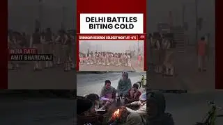 Delhi Grapples With Biting Cold Wave | North India Cold Wave News | Delhi Winter Season