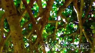 Chill - StargazingMusic