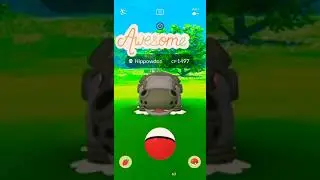 Hippowdon  in Wild  Omg but ...😔