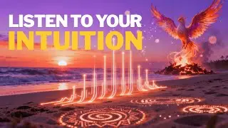 ASCENSION NIGHTS  / Progressive House · Uplifting · Emotional