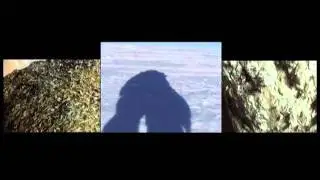 TERRA INCOGNITA (Polar Projects:  3 in 1screen version)