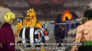 One Piece cap 1046 sub espa&ntilde;ol Avance / HD