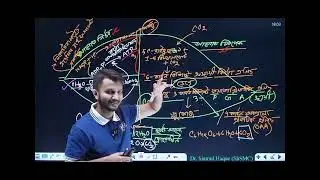 Class 10 BIOLOGY chapter 4 best photosynthesis recap by UDVASH (under 2 minutes in 2x speed)
