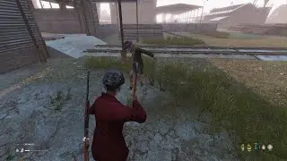 DayZ players encounter with Binz