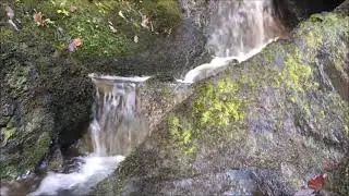 Forest Sounds, for relaxation, Sleep, Meditation. Шум водопада Video of Large Waterfall