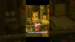 This Dog Runs His Own Store in Japan 🐶💙
