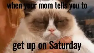 funny grumpy cat meme