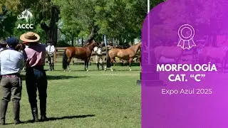 EXPO CRIOLLOS AZUL - MORFOLOGIA