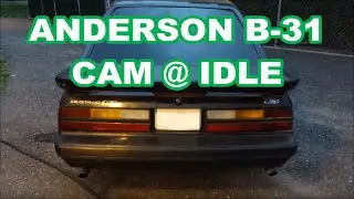 1986 Ford Mustang GT 5.0 with ANDERSON B-31 CAM IDLING   -  5.0L Fox Body 79-93 B31 camshaft