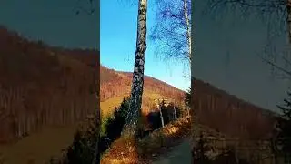 Munții Piatra Craiului zona Moeciu #romania #travel #transilvania #nature