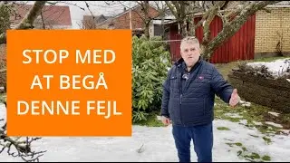 Biavl: De 5 ting du skal gøre for at få succes med dine bier