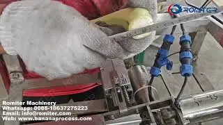 Automatic Green Banana Peeling Machine Structure