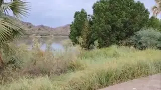 من منطقة جازان وضواحيها مع العم حمد والعم ابوسامي تصوير محمدحمد ابوكيان🕊️