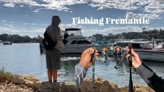 Lure Fishing Fremantle, What do I catch?