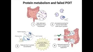 Are Gut Microbes &ldquo;Eating&rdquo; Your Peanut Allergy Treatment? (BDB Ep 9)