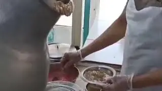 Foul Tameez! Arabic Breakfast! Madina