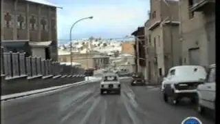 Riesi 1988