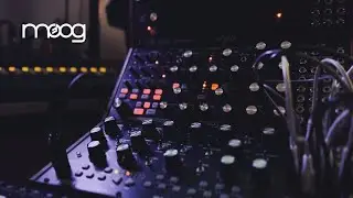 Calm Cosmic Flow | Relaxing Background Moog Ambient Music (Mother-32/Subharmonicon)
