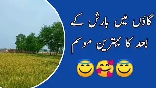 Gaon ma barish k bad ka bahtreen mosam||Bunker Boy's||On youtube