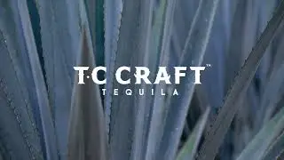 Trust in the taste. TC CRAFT is crafted with integrity. No artificial flavors and no add-ins