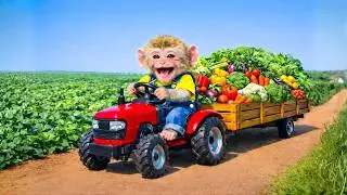 Little Farmer Monkey Harvests Fresh Vegetables & Rescues Baby Chicks” 🌱🐒🐥