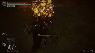 Easy way to kill Yellow Madness Creature in Abyssal Woods || Elden Ring DLC