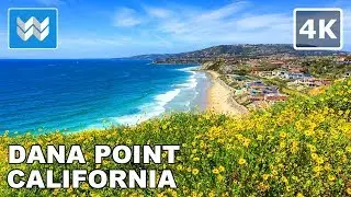 Walking from Headlands Trail & Harbor Point Park in Dana Point, California 🎧 【4K】