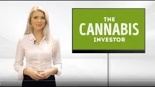How Marijuana State Laws are Affecting the Cannabis Market
