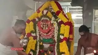 மைலாப்பூர் கபாலீஸ்வரர் கோவில் பிரதோஷம் தீபாராதனை நடனம் திருவந்தி காப்பு.16.1.26.