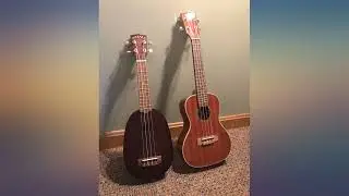 Kala KA-CG Glossed Mahogany Concert Ukulele revieww