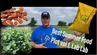 Most Overlooked Summer Food Plot Lab Lab #deerfoodplots #deermanagement #tecomate