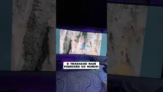 The most dangerous job in the world!