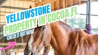 Horse Farm property in Cocoa, Florida. 30.63 acres