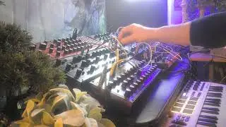11620261 Experimental Synth JAm
