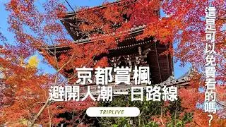 京都獨旅一日楓葉路線，避開人擠人的景點還是有另一片天堂，真如堂、圓光寺。