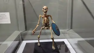 Ray Harryhausen Exhibition, Manchester